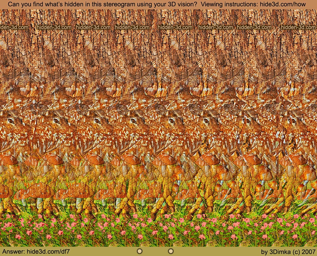 Stereogram by 3Dimka: Deer Forest. Tags: deer, forest, mashrooms, trees, hidden 3D picture (SIRDS)