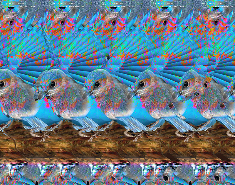 Stereogram by Gene Levine: Bluebird. Tags: , hidden 3D picture (SIRDS)