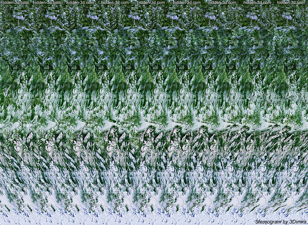 Stereogram by 3Dimka: Winer hunter. Tags: wolf, trees, snow, animal, dog, hidden 3D picture (SIRDS)