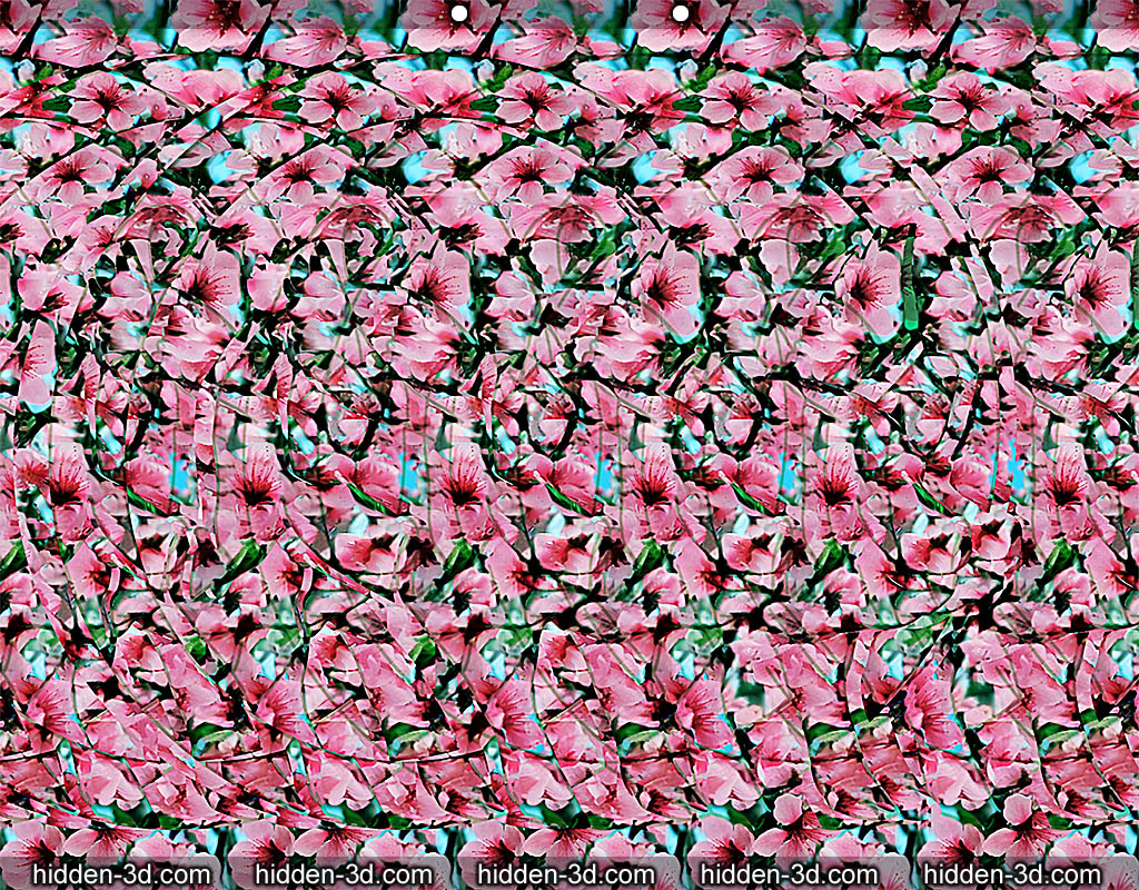 Stereogram by 3Dimka: Impossible food. Tags: pig piglet flying ring wings pork pink, hidden 3D picture (SIRDS)