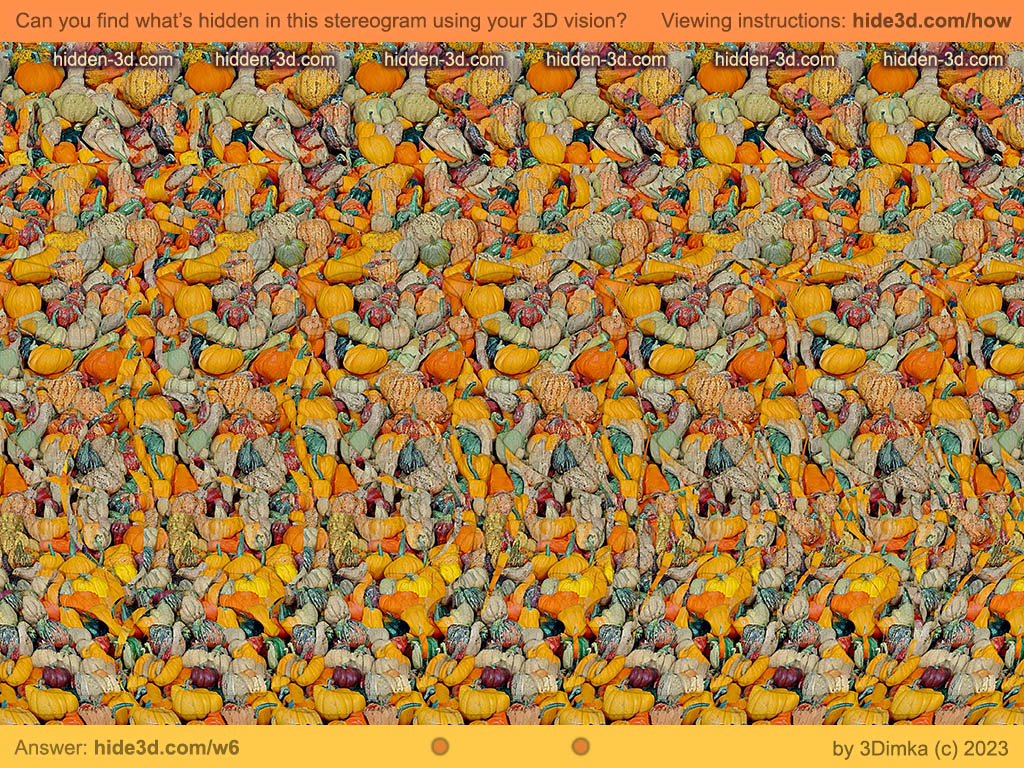 Stereogram by 3Dimka: October gifts. Tags: cow cattle pumpkin field farm funny cute orange fall autumn, hidden 3D picture (SIRDS)